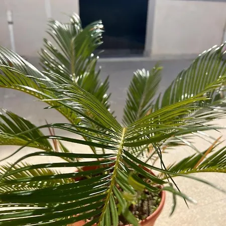 Rajanzino Πανσιόν Pozzallo